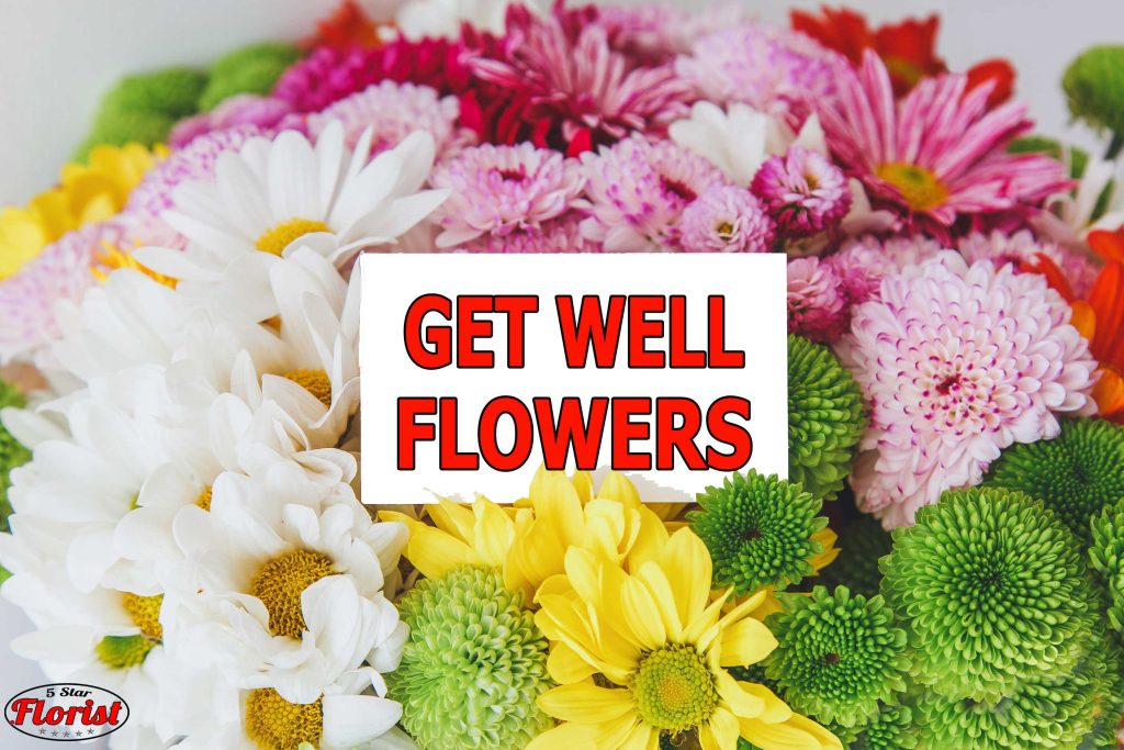 get well flowers Harrisburg