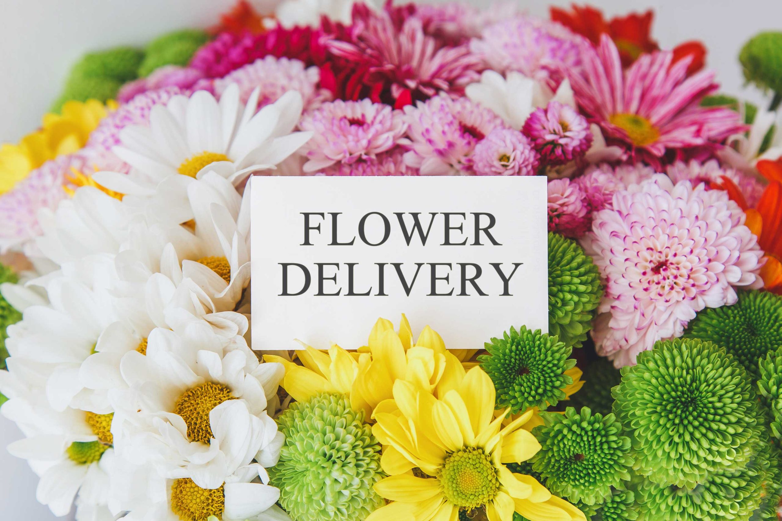 same-day-flower-delivery- Harrisburg